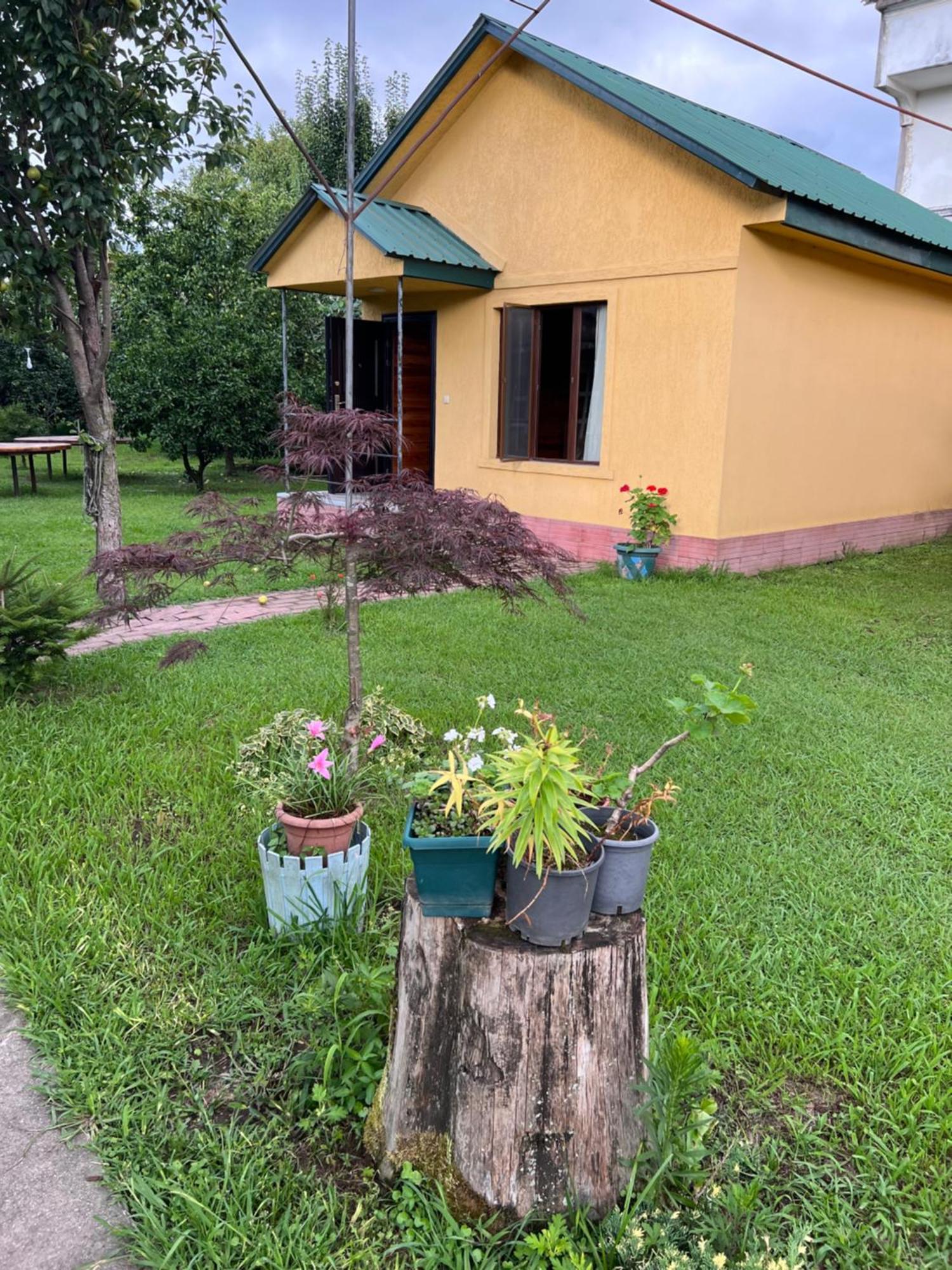 Senima'S Paradise Batumi Ngoại thất bức ảnh